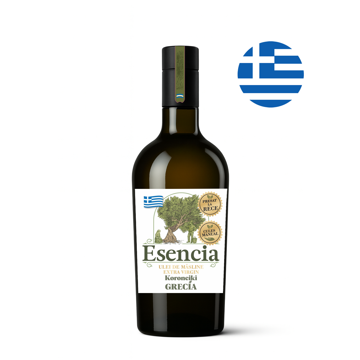 Arbequina